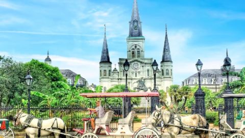 New Orleans City & Cemetery Tour + Garden District Stroll