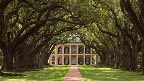 Swamp Boat Cruise & Oak Alley Plantation Tour from New Orleans