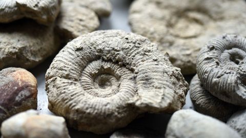 Gemstone Mining Fossil Ore Bag