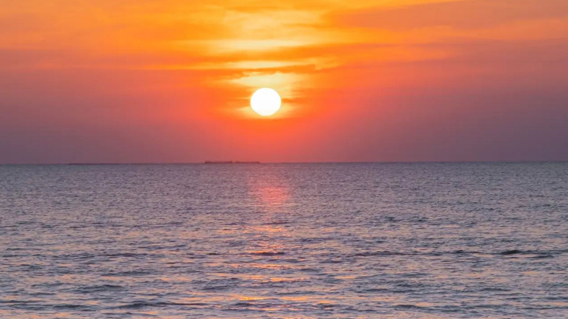 Adults Only Sunset Cruise aboard The Big Kahuna