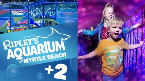 Ripley's Aquarium +2 Attractions Combo Pass