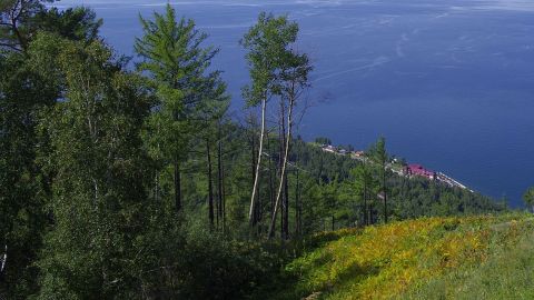 Booking fields testing