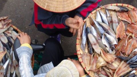 Hanoi Street Food Experience