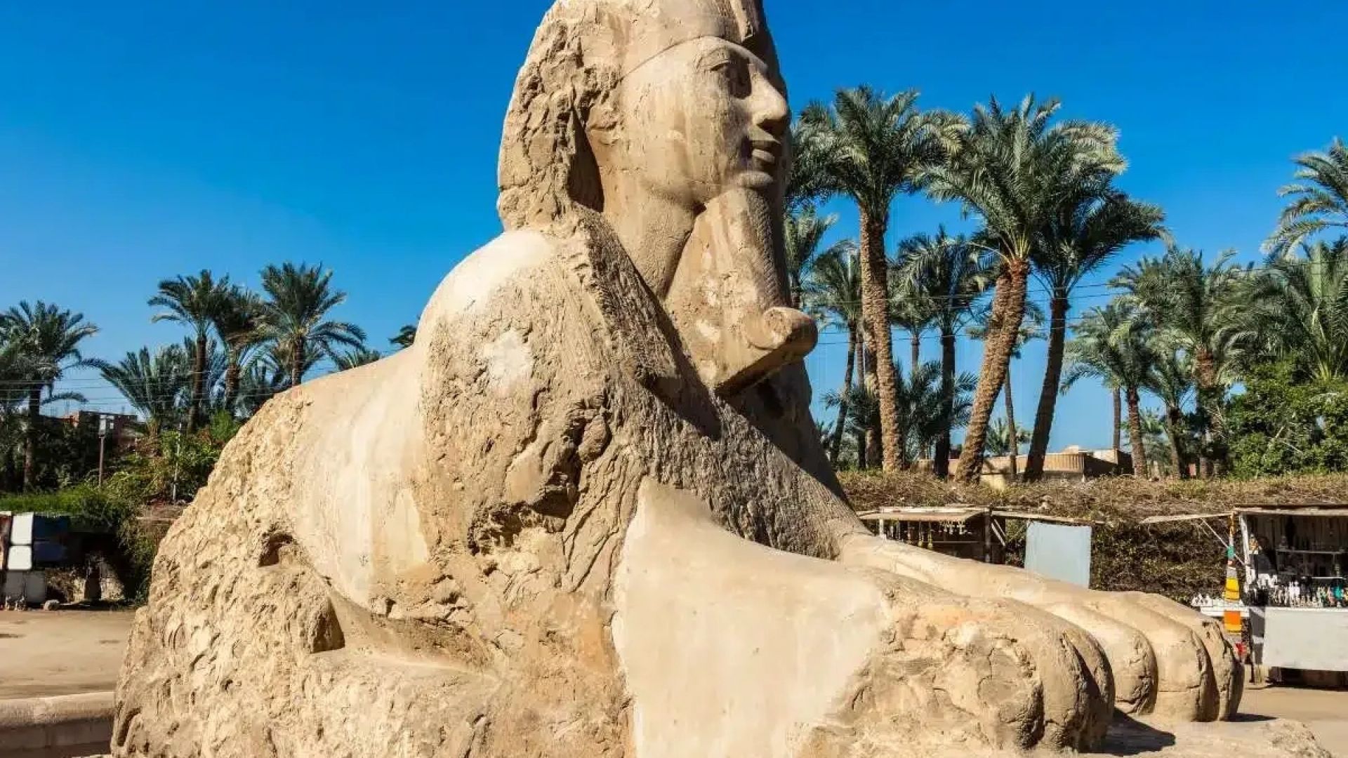 Cairo Saqqara and Memphis Discovery