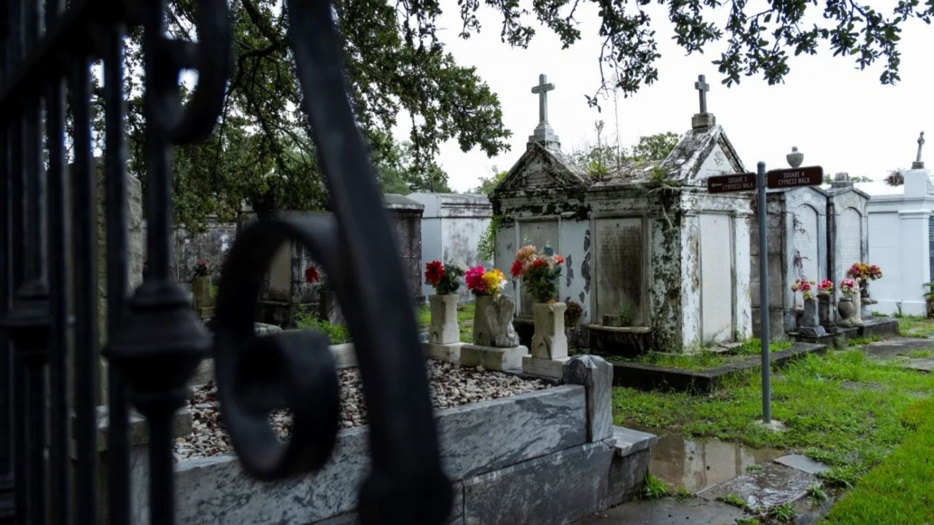 Explore Historic New Orleans: Hidden Garden District Tour