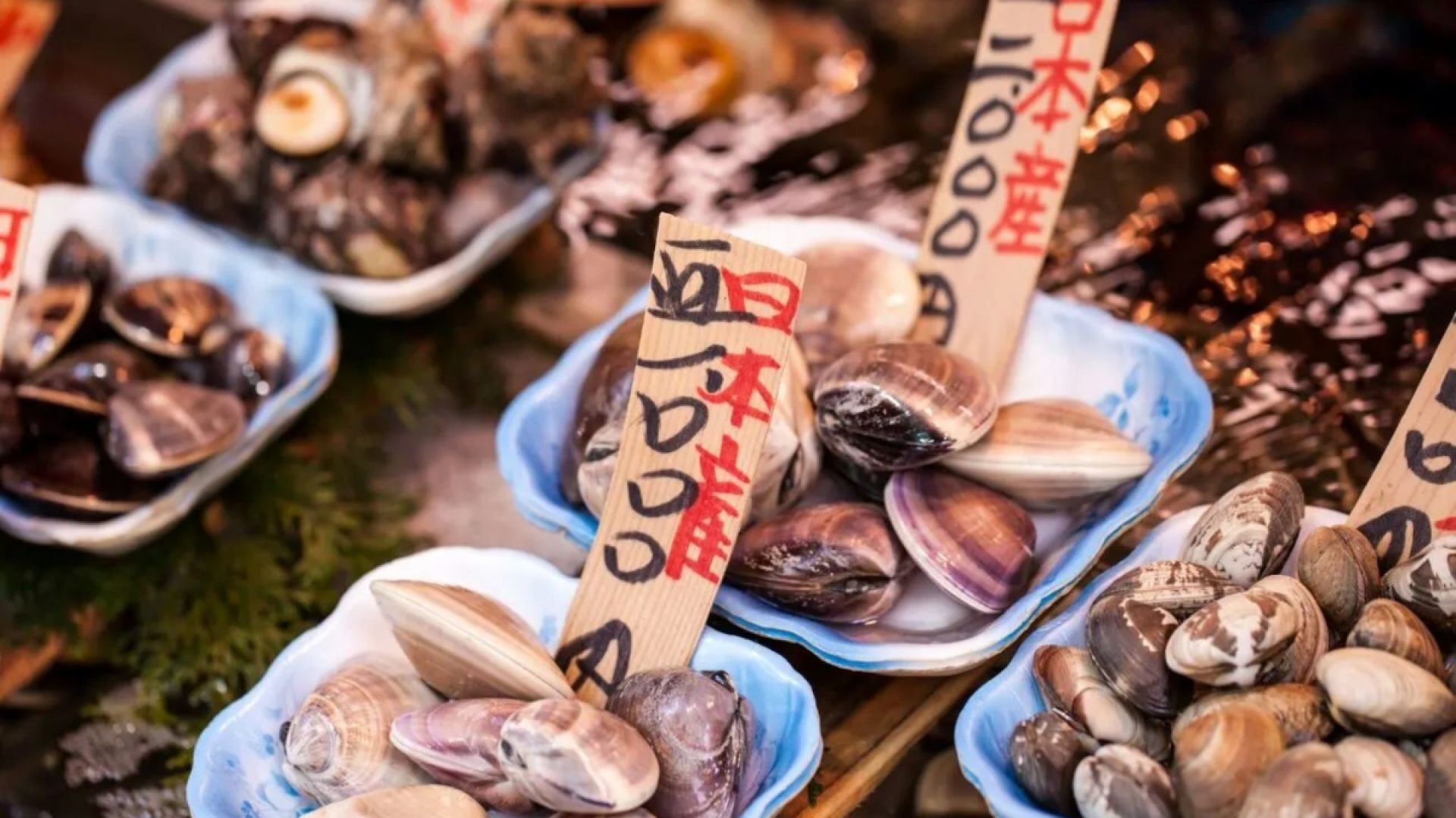 A Tour Through Tokyo’s Kitchen (with World's Most Famous Fish Market)
