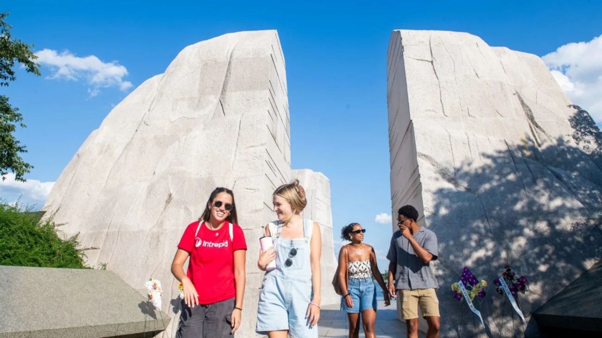 Washington Mall & Monuments by Electric Car Tour