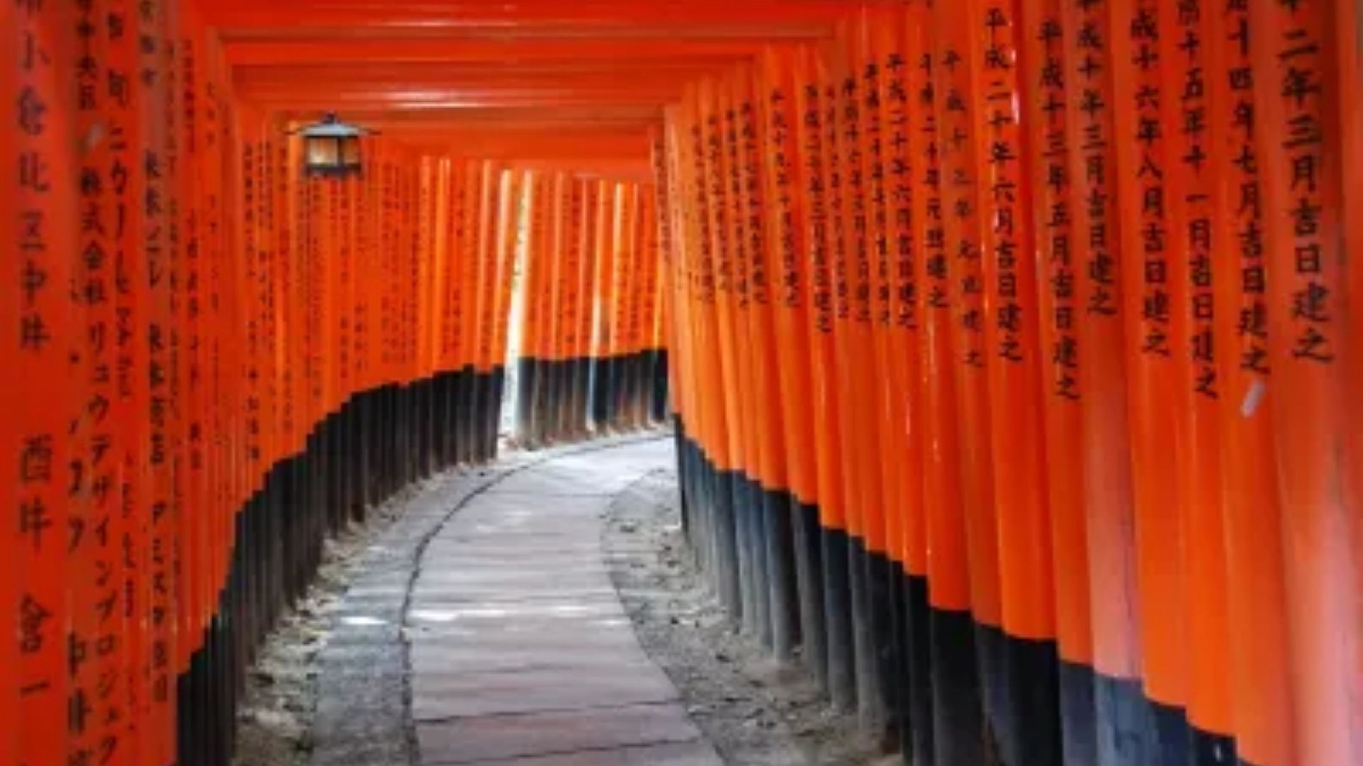 Kyoto City of Culture