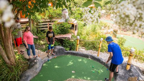 Maui Mini Golf at 57th Street