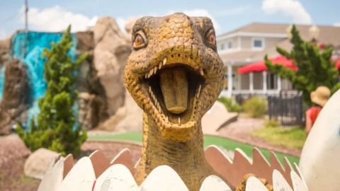 Dino Golf and Mining Company