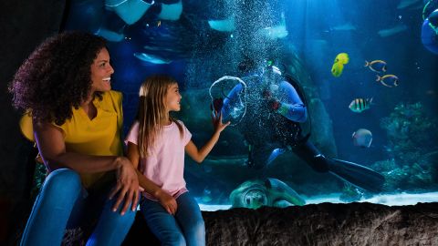 Standard Admission to SEA LIFE Orlando