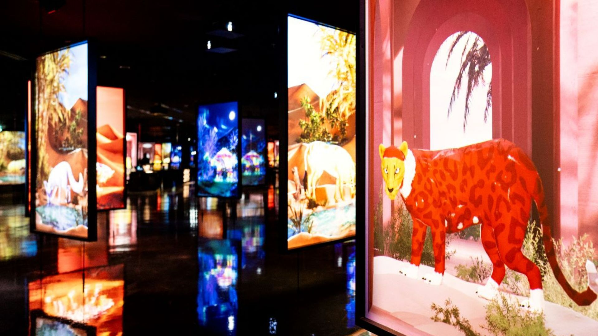 Gallery image 9