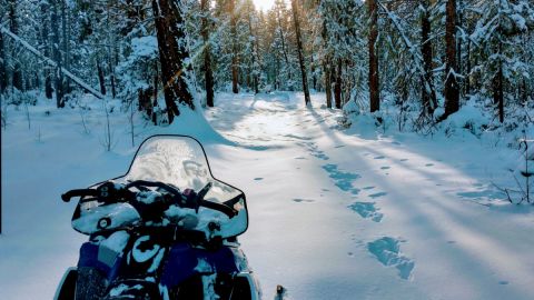 Snowmobile Tour