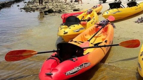 2-Hour Kayak and Paddleboard Rental