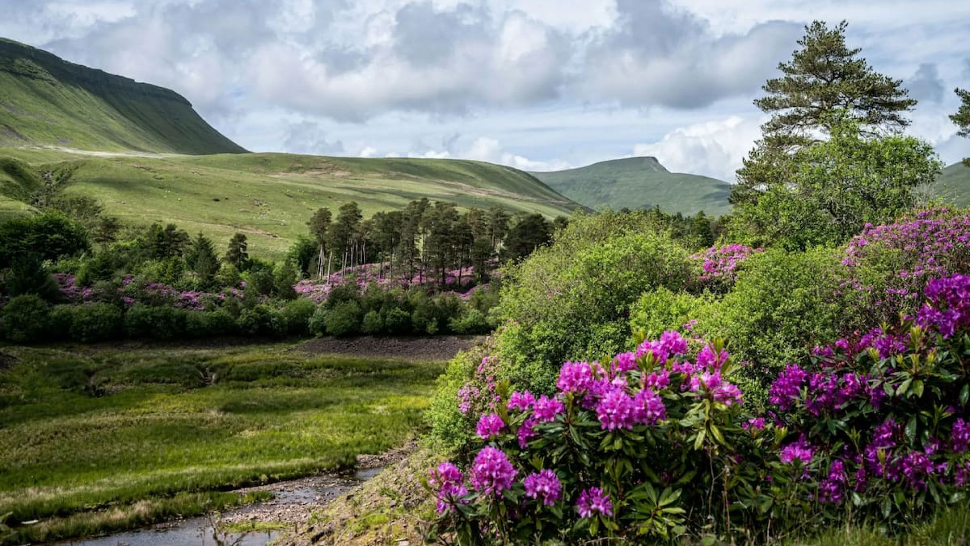 Legendary Castles & Mountains of Wales