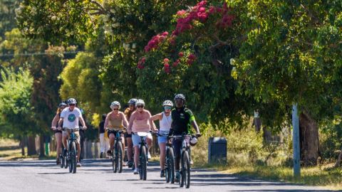 Franschhoek Half Day Winelands Cycle Tour