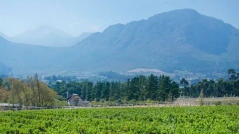 Franschhoek Winelands Luxury EBike Tour