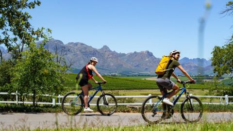 Stellenbosch Half Day Winelands Cycle Tour