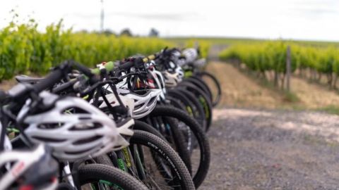 Stellenbosch Winelands Luxury EBike Tour ©