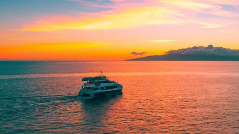 From Ma'alaea Harbor: Sunset Dinner Cruise