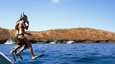 Molokini and Turtle Town Snorkel Adventure