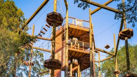 Aerial Challenge Course