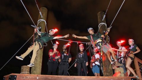 Night Zipline - 3 Lines