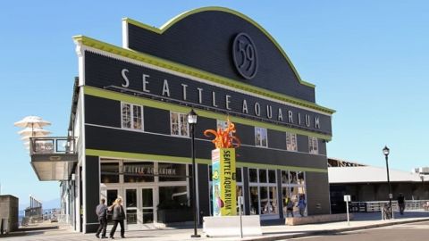 Seattle Aquarium: Entry Ticket