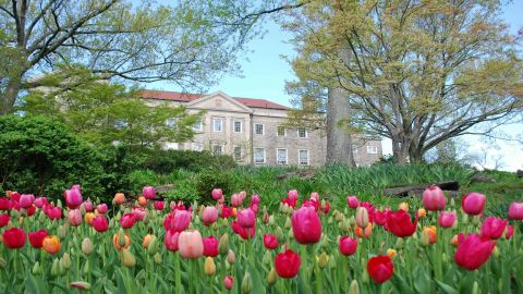 Cheekwood Estate and Gardens: General Admission