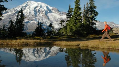 Mt. Rainier: All-Inclusive Small-Group Day Trip from Seattle