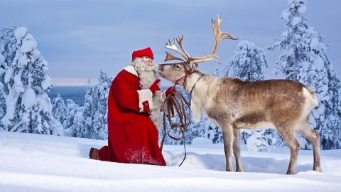 All in One Santa Claus Visit with Dog Sledding Adventure 