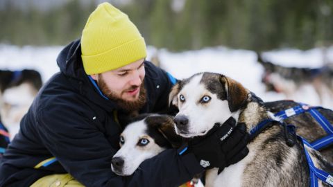 Cart Ride With Huskies 