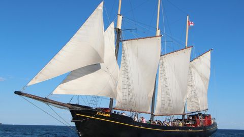 Toronto: Tall Ship Boat Cruise