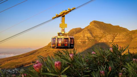 Table Mountain, Boulders Beach & Cape Point: Private Tour + Roundtrip Transfer