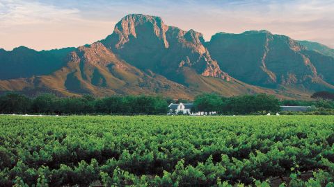 Winelands & Stellenbosch-Franschhoek: Private Wine Tasting Tour