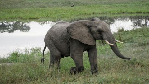 Private Kruger Park Safari and Panorama Route