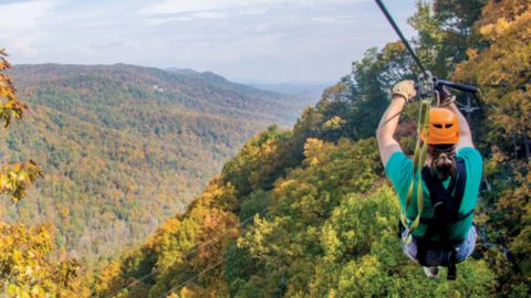 Zipline Canopy Tour