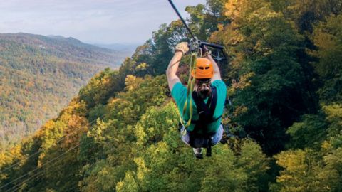 Zipline Canopy Tour