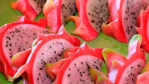 Tropical Fruit Tasting Walking Tour