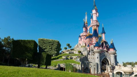 Disneyland Paris 1 Day 1 Park DATED Ticket