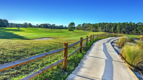 Play Golf at Cypress Head Golf Club