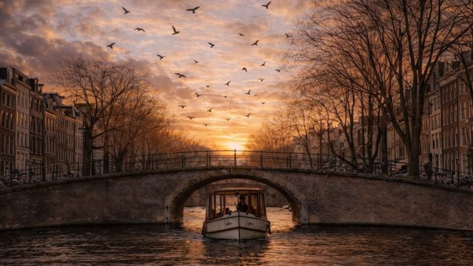 Amsterdam Evening Canal Cruise with Live Guide and Bar