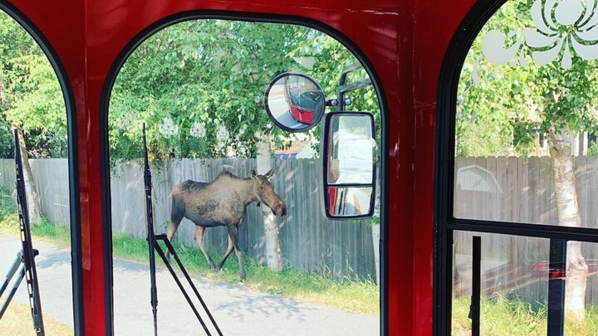 Anchorage Trolley's Deluxe City Tour