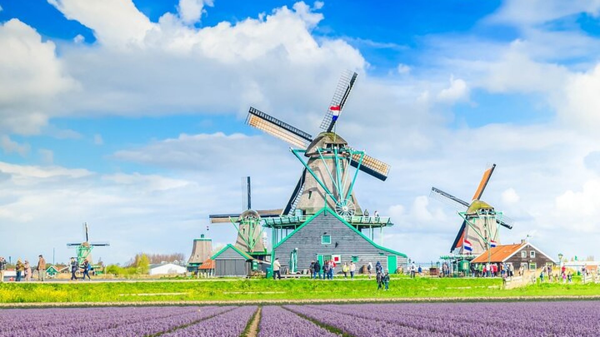 Windmill Tour from Amsterdam, Including Volendam & Marken