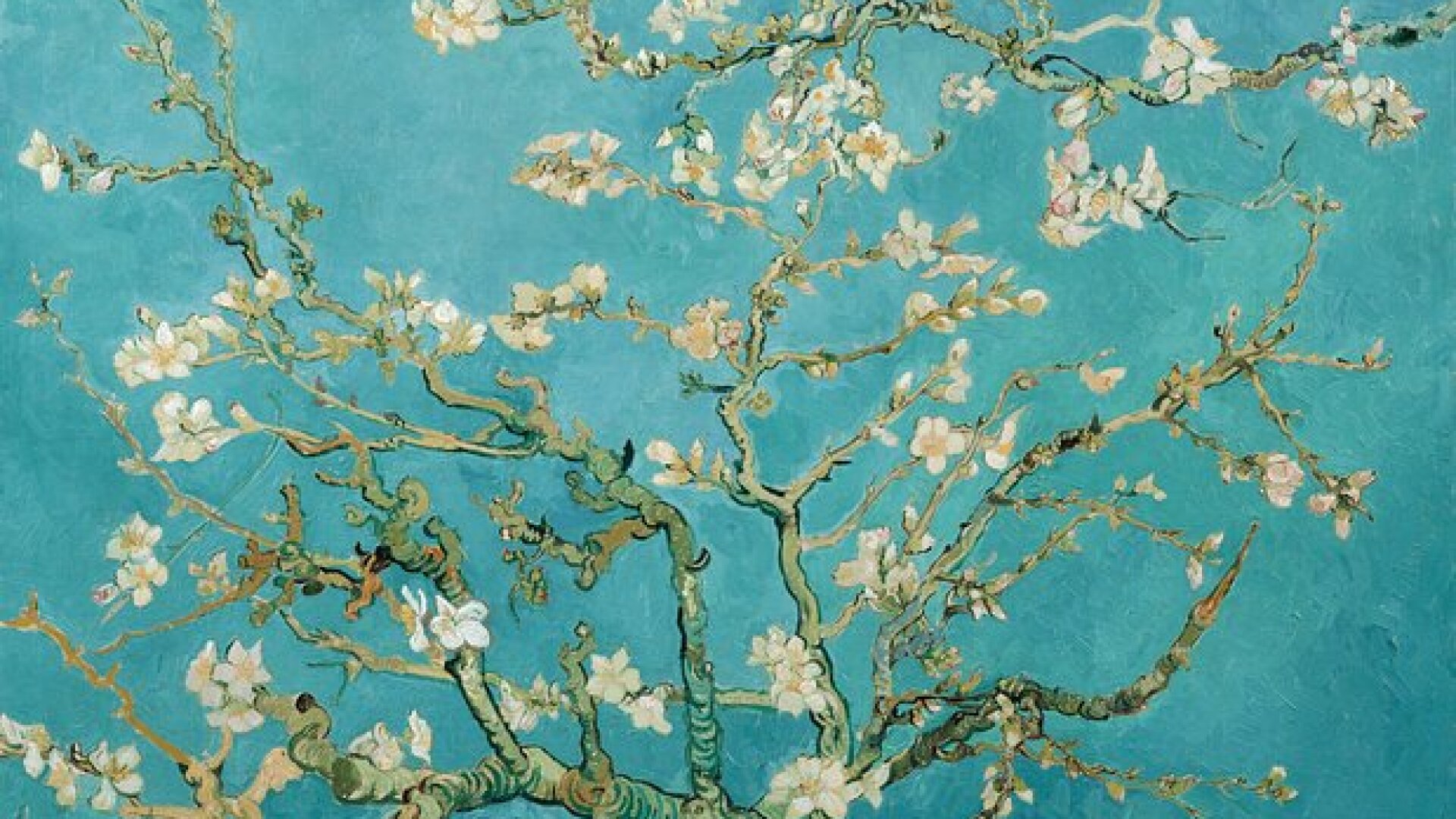 Combo Ticket: Van Gogh Museum Ticket and 1-Hour Canal Cruise
