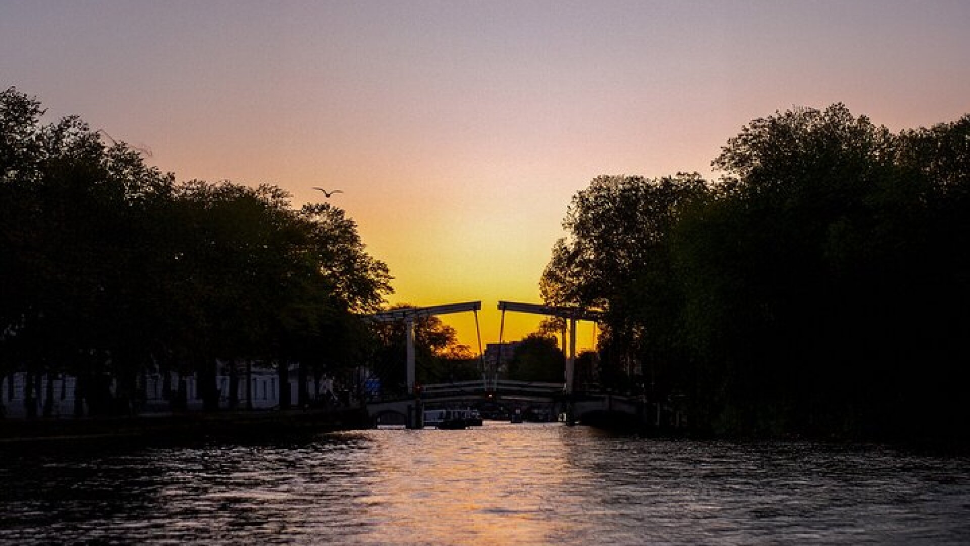 Amsterdam Evening Cruise Incl Drinks and Bites - Small Group Tour