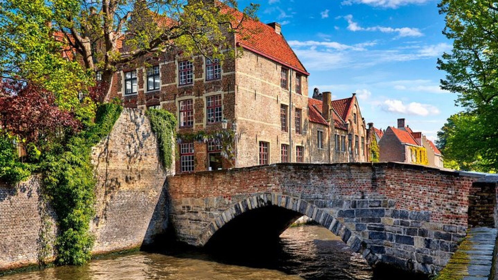 Bruges Day Trip from Amsterdam 