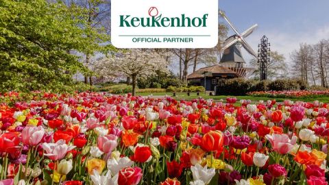 Keukenhof Entry Ticket & Round-Trip Shuttle Bus from Amsterdam!