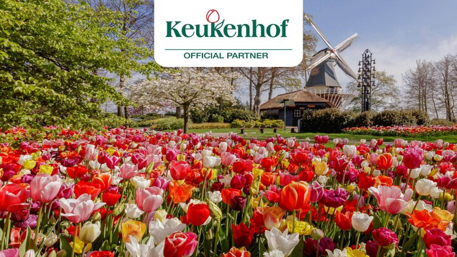 Amsterdam: Keukenhof Entry & Shuttle Bus with Flexible Return