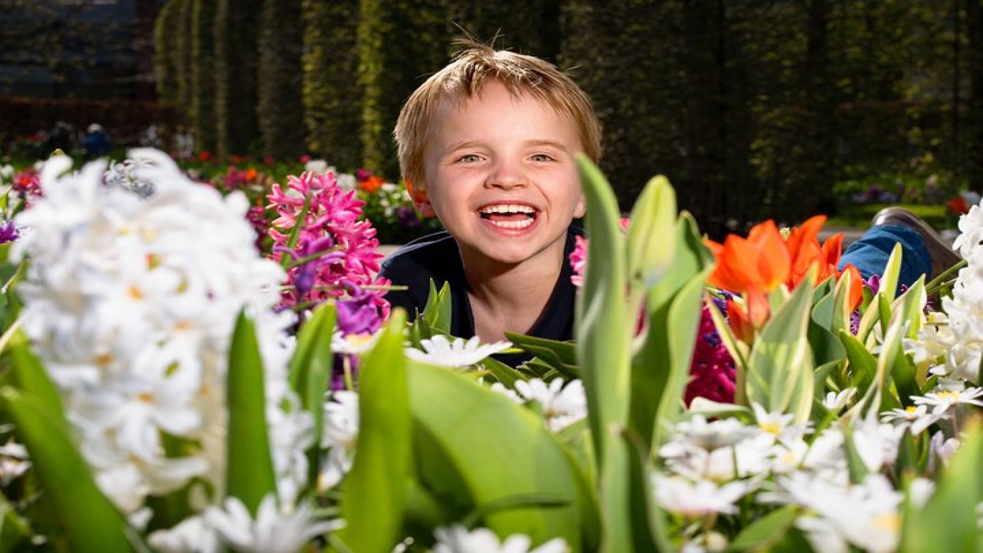Amsterdam: Keukenhof Entry & Shuttle Bus with Flexible Return